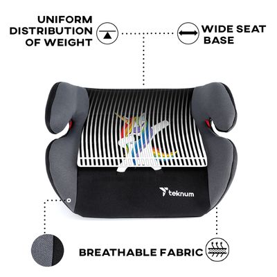 Teknum Unicorn Car Seat Booster - Grey